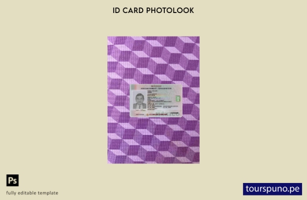 listo para imprimir plantilla FRONTAL de foto de tarjeta de identificación con 1