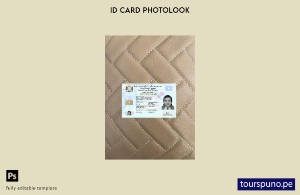 listo para imprimir tarjeta de identificación de Somalia presente plantilla fron