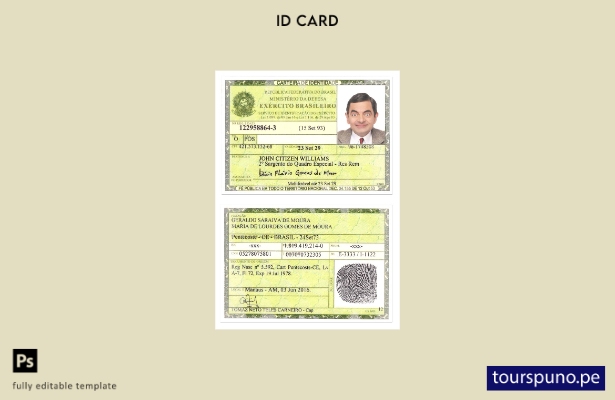 Listo para imprimir la plantilla de tarjeta de identidad de Brasil