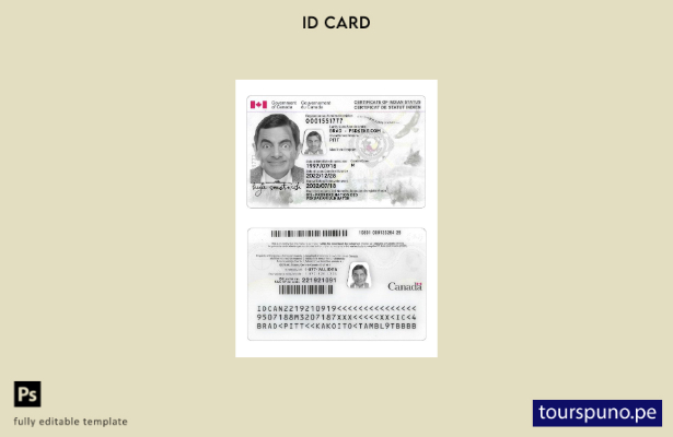 lista para imprimir plantilla de tarjeta de identificación de estado indio de Ca