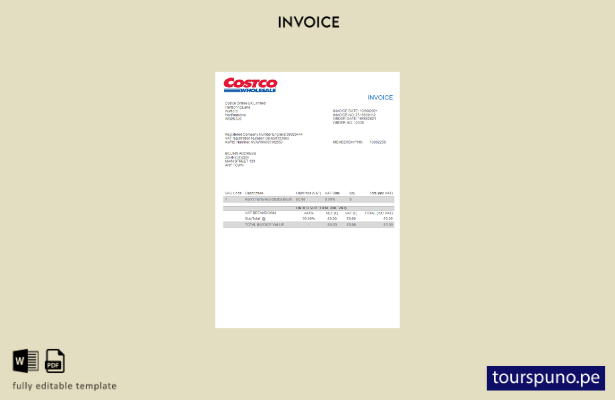 lista para imprimir plantilla de factura de Costco de EE. UU.