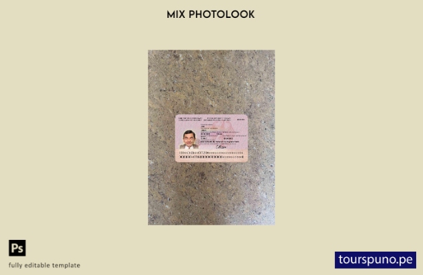 listo para imprimir Alemania protokollausweis für diplomaten photolook plantilla