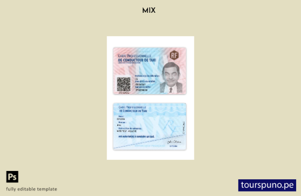 Listo para imprimir la plantilla de tarjeta de identificación de taxista de Fran