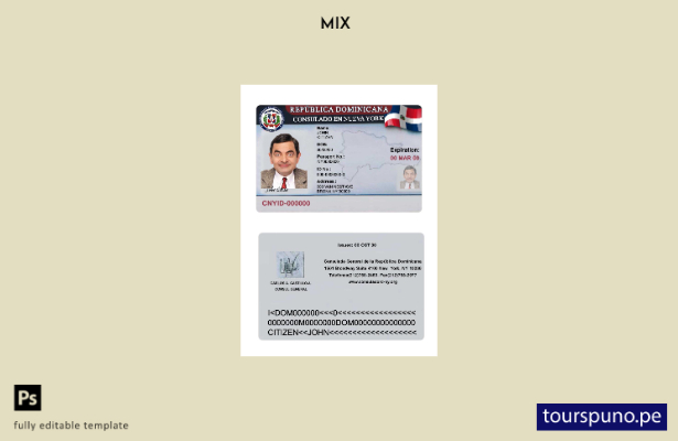 Plantilla de Consulado de República Dominicana en Nueva York lista para imprimir