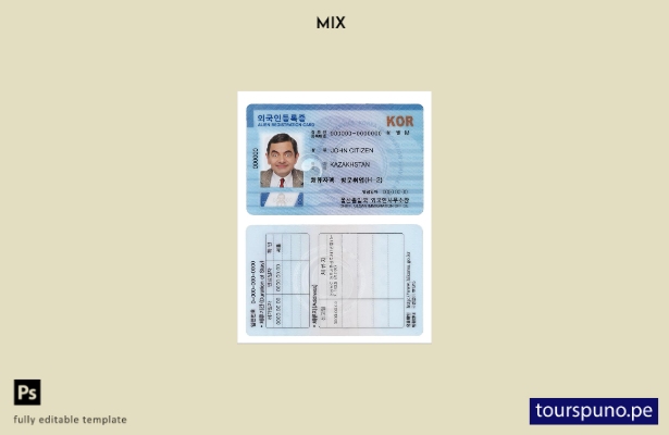 Plantilla de Tarjeta de Registro de Extranjero (ARC) de Corea del Sur lista para