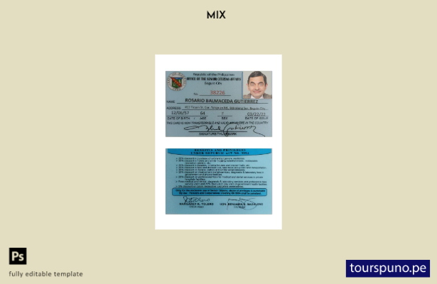 Plantilla de tarjeta de asuntos ciudadanos de Filipinas lista para imprimir