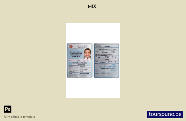 Plantilla de tarjeta de identificación del Ministerio del Interior de Turquía li