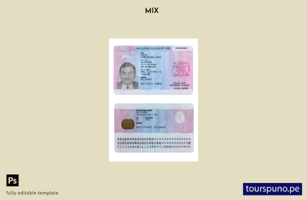 Plantilla de tarjeta de registro de solicitud del Reino Unido lista para imprimi