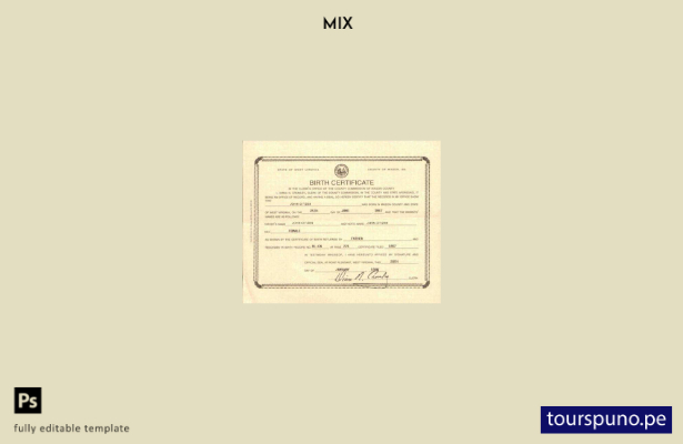 lista para imprimir plantilla de certificado de defunción del condado de Mason d