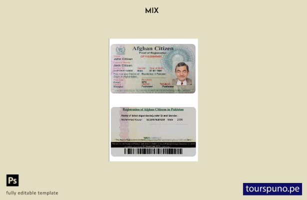listo para imprimir plantilla PSD de tarjeta de registro de ciudadano de Afganis
