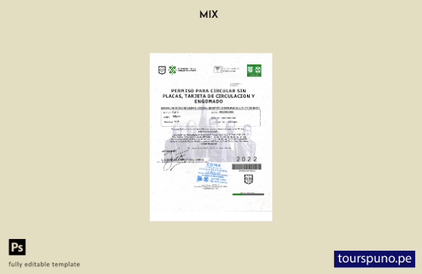listo para imprimir plantilla de Permiso Para Circular Sin Placas de México