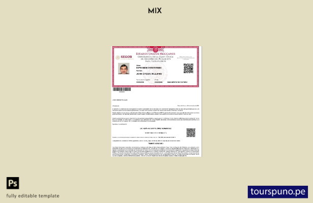 listo para imprimir plantilla de Registro de Población de México (número CURP) d