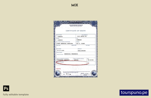 listo para imprimir plantilla de certificado de defunción del Departamento de  2