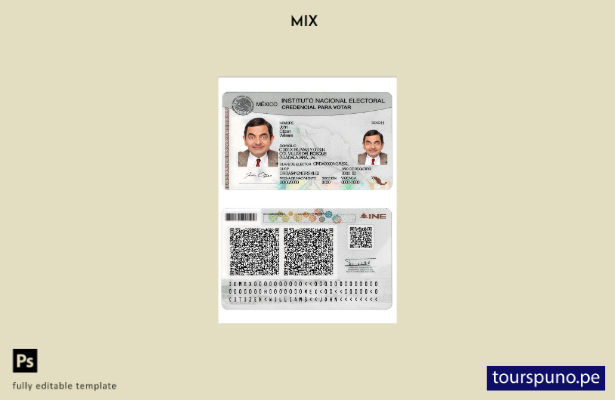 plantilla electoral del instituto nacional de México lista para imprimir