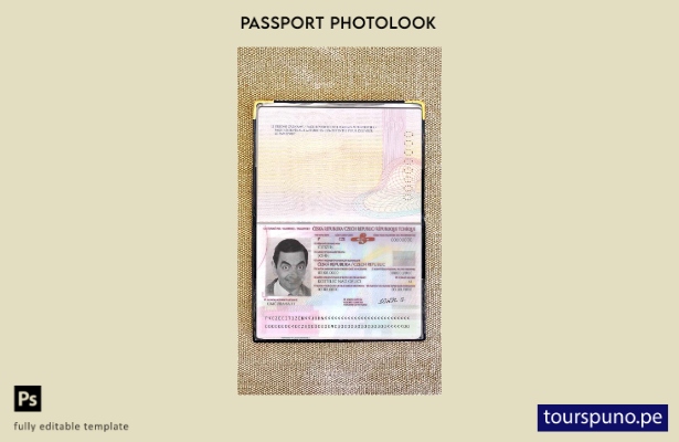 Plantilla de apariencia de foto de pasaporte checo lista para imprimir