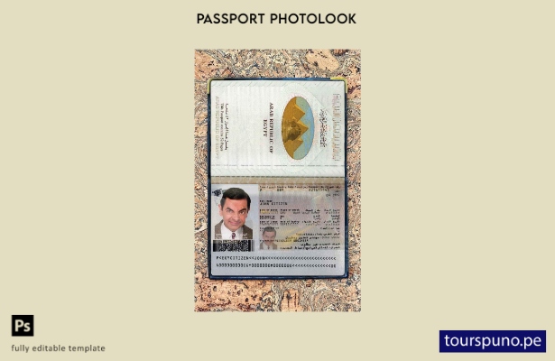 Plantilla de apariencia de foto de pasaporte de Egipto lista para imprimir