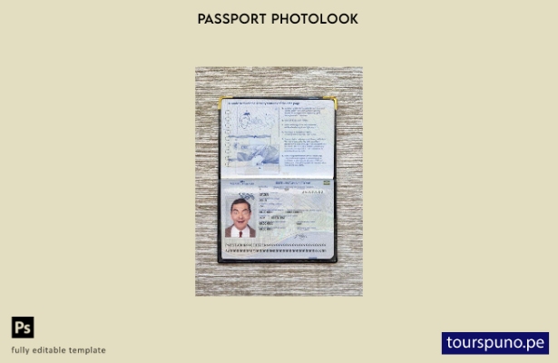 Plantilla de apariencia de foto de pasaporte de Estonia lista para imprimir