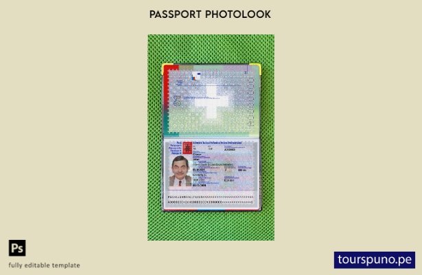 Plantilla de apariencia de foto de pasaporte de Suiza lista para imprimir