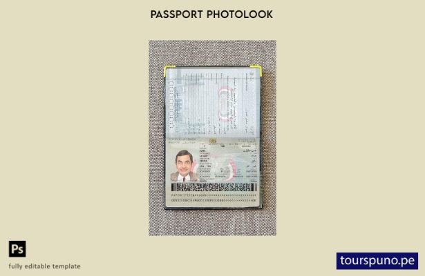Plantilla de apariencia de foto de pasaporte de Yemen lista para imprimir