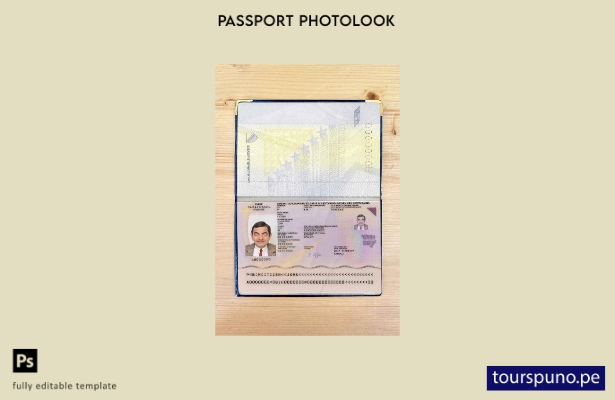 Plantilla de apariencia de fotografía de pasaporte de Bosnia y Herzegovina lista