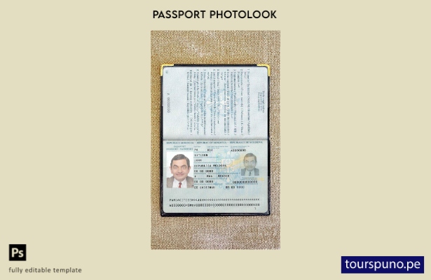 Plantilla de apariencia fotográfica de pase de Moldavia lista para imprimir