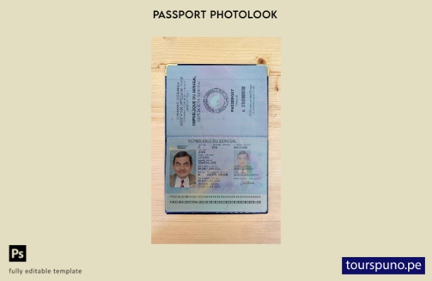 Plantilla de apariencia fotográfica del pase de Senegal lista para imprimir