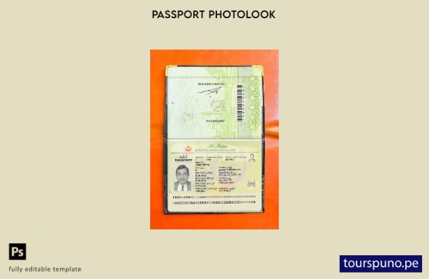 Plantilla de aspecto fotográfico del pase de Brunei lista para imprimir