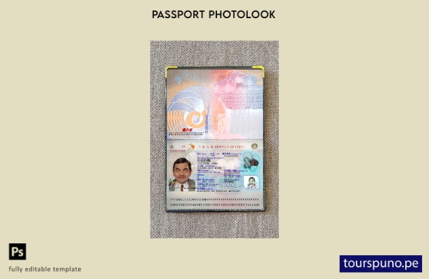 lista para imprimir plantilla de aspecto fotográfico actual del Pase de Taiwán