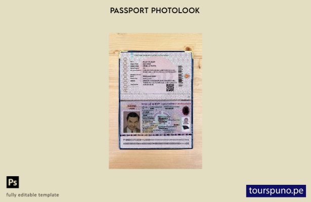 listo para imprimir la plantilla de apariencia de fotografía actual del pasaport