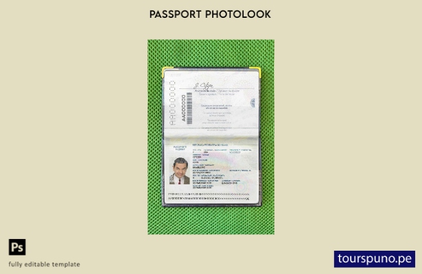 listo para imprimir la plantilla de aspecto fotográfico del pasaporte de Brasil