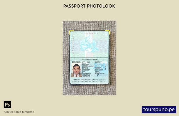 listo para imprimir la plantilla de presentación fotográfica del pasaporte de  1