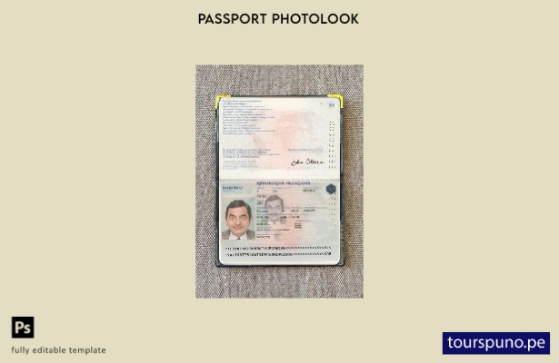 listo para imprimir la plantilla de presentación fotográfica del pasaporte de Fr