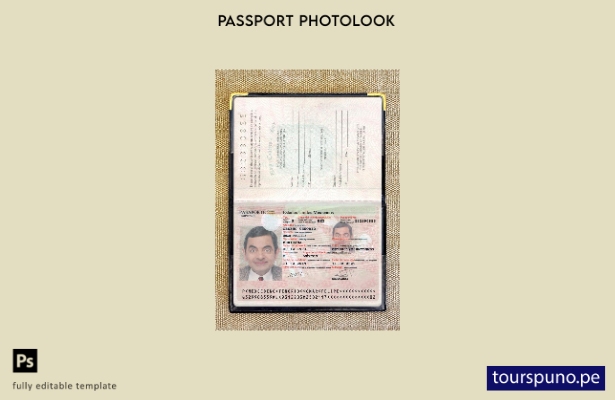 listo para imprimir la plantilla de presentación fotográfica del pasaporte de Mé