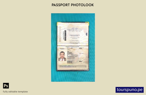 listo para imprimir la versión del pasaporte de Brasil (presente) plantilla de a