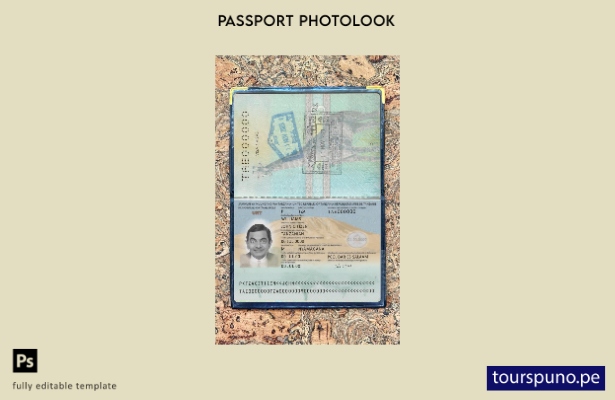 listo para imprimir pasaporte de Tanzania nueva plantilla de aspecto fotográfico