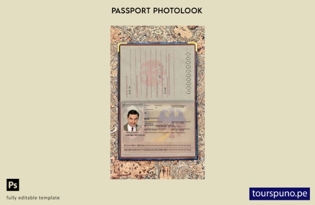 listo para imprimir plantilla de aspecto fotográfico del pasaporte de Alemania (