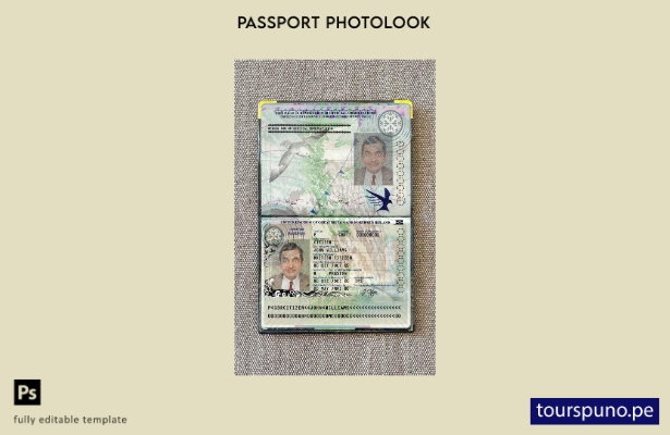 listo para imprimir plantilla de aspecto fotográfico del pasaporte del Reino Uni