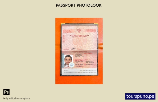 listo para imprimir plantilla de aspecto fotográfico presnet de pasaporte de Rus