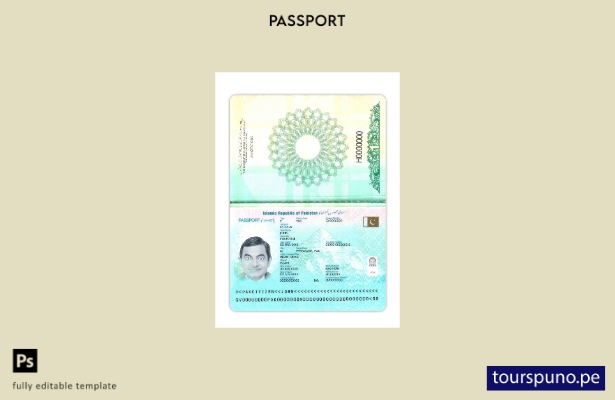 Listo para imprimir la plantilla actual del pasaporte de Pakistán 1