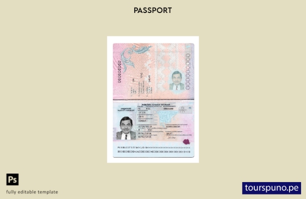 Listo para imprimir la plantilla actual del pasaporte de Rumania