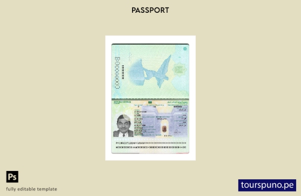 Listo para imprimir la plantilla actual del pasaporte iraquí. 2