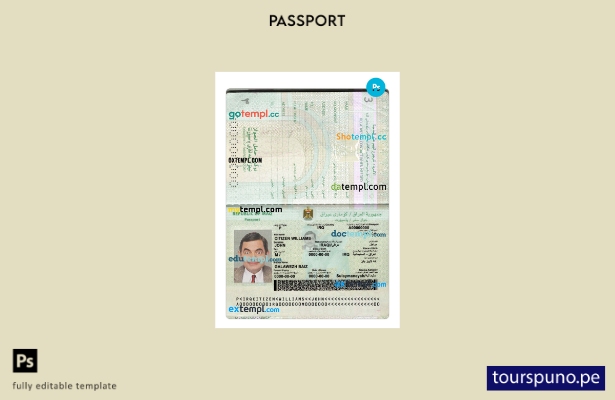 Listo para imprimir la plantilla actual del pasaporte iraquí.