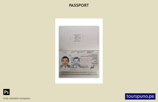 Listo para imprimir la plantilla actual del pasaporte palestino.