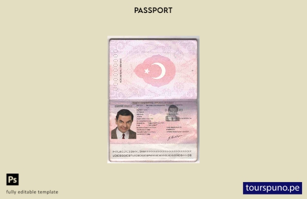 Listo para imprimir la plantilla antigua del pasaporte turco.