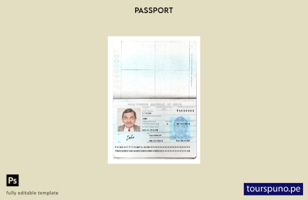 Listo para imprimir la plantilla de páginas de nueva versión del pasaporte de In