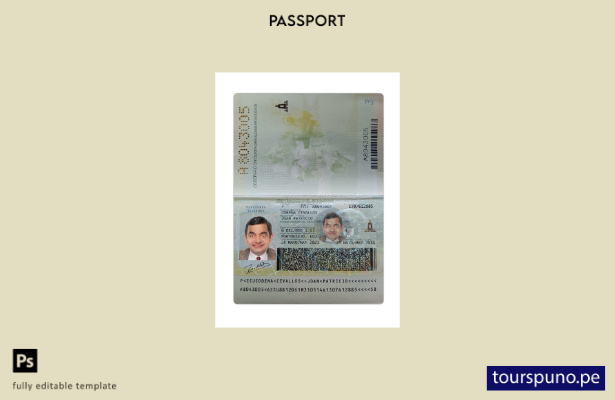 Plantilla actual de pasaporte de Ecuador lista para imprimir