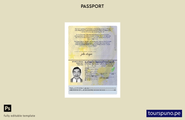 Plantilla de pasaporte Ilia lista para imprimir
