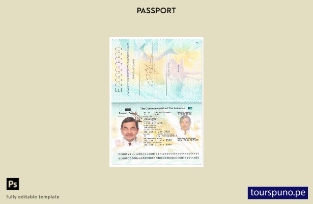 Plantilla de pasaporte de Bahamas lista para imprimir