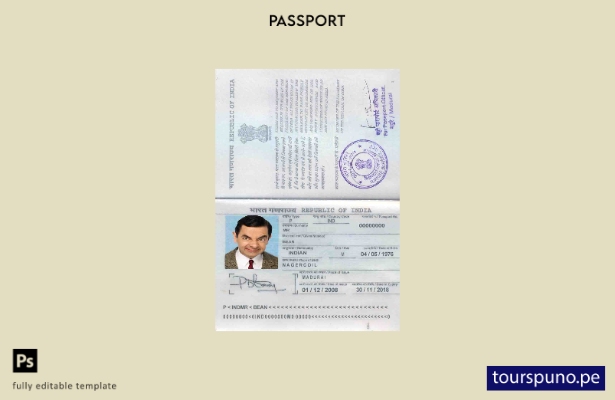 Plantilla de pasaporte de India lista para imprimir