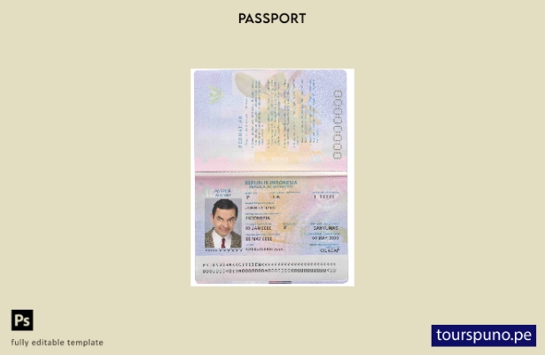 Plantilla de pasaporte de Indonesia lista para imprimir